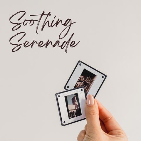 Soothing Serenade: Ambient Melodies with Nature Sounds for Relaxation