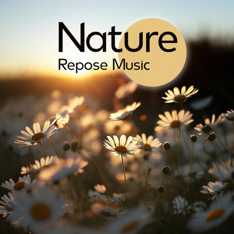 Nature Repose Music: Soothing Nature Ambience