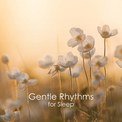 Gentle Rhythms for Sleep: Soothing Melodies for Gentle Night