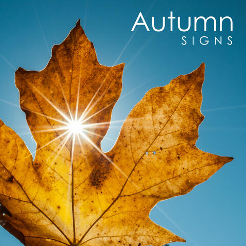 Autumn Signs: Soft Jazz Atmosphere of Early Autumn