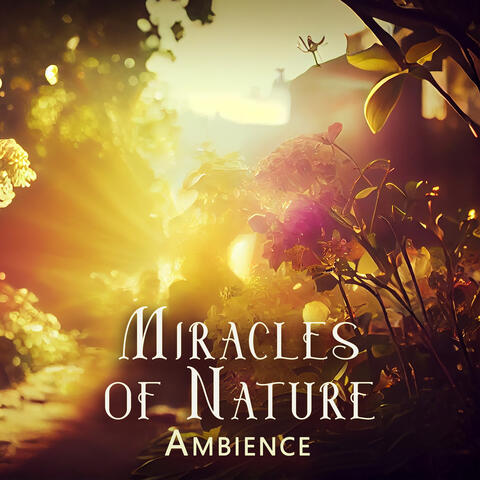 Miracles of Nature Ambience: Relax in The Middle of Nature