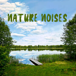 Cheerish Nature