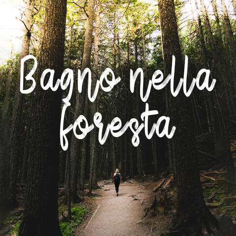 Bagno nella foresta: Un modo semplice per rilassare la mente