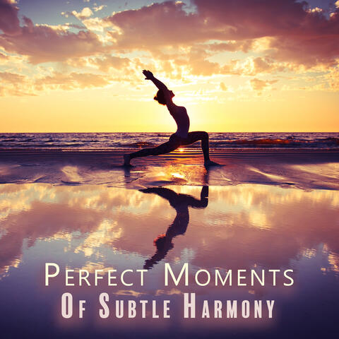 Perfect Moments Of Subtle Harmony