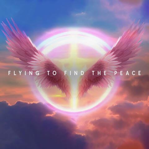 Flying To Find The Peace