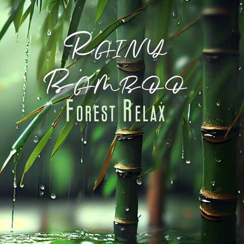 Rainy Bamboo Forest Relax: Zen Nature Sounds for Meditation, Sleep, Spa & Massage