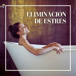 Melodías Relajantes