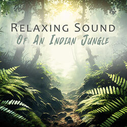 Stress Treatment Music