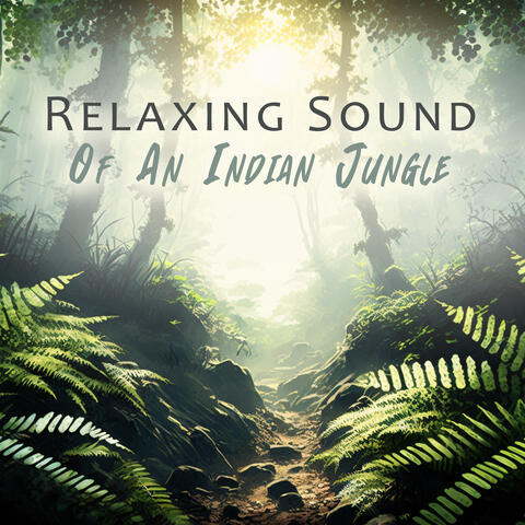 Relaxing Sound Of An Indian Jungle