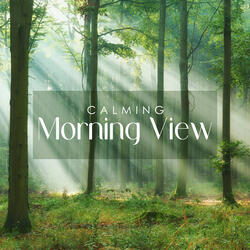 Relaxing Sounds of Planet Earth