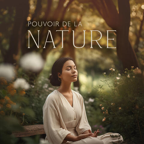 Pouvoir de la nature: Séance de méditation calme avec les sons de la nature