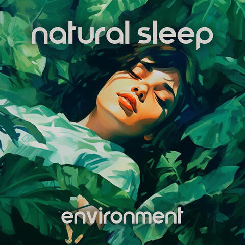 Natural Sleep Environment: Calm Dreams, Therapeutic Sleep Zone, Relief Stress and Anxiety with Tranquillity of Nature