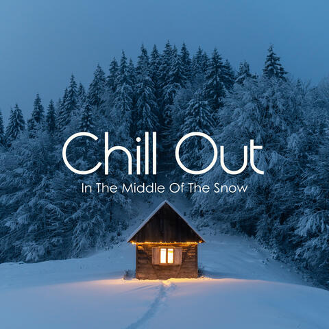 Chill Out In The Middle Of The Snow