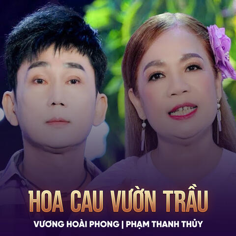 Hoa Cau Vườn Trầu