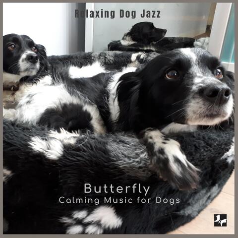 Relaxing Dog Jazz