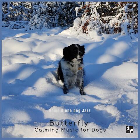 Home Alone Dog Jazz