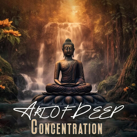 Art of Deep Concentration: Buddhist Meditation Practice to Build Focus