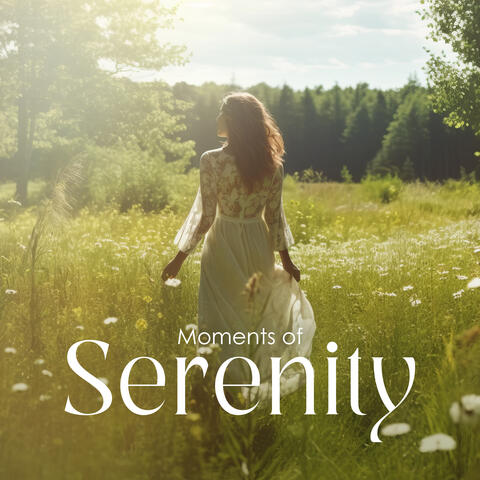 Moments of Serenity: Daily Relaxation with Piano and Violin Music
