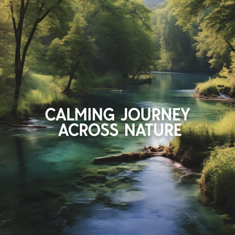 Calming Journey Across Nature
