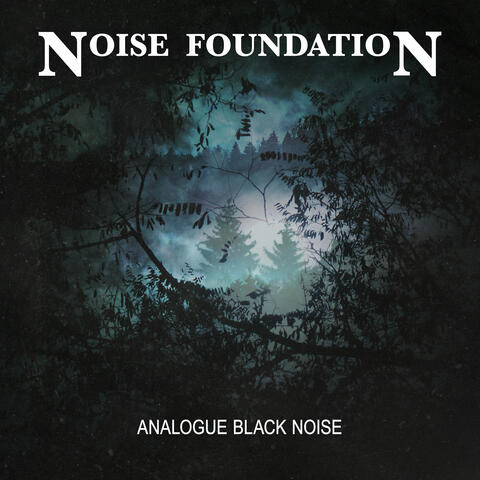 Analogue Black Noise