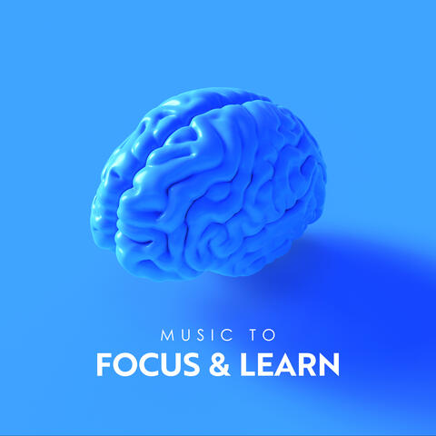 Music to Focus & Learn: Complete Focus & Study Motivation Music