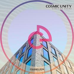 Cosmic Unity