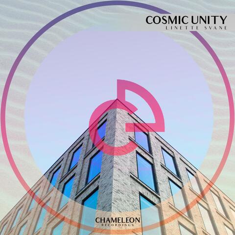 Cosmic Unity