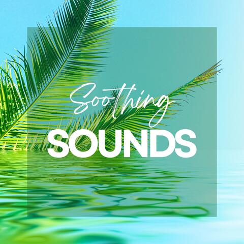 Soothing Sounds: A Harmony of Nature's Melodies for Peaceful Relaxation