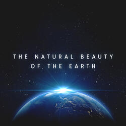 Beauty of Things
