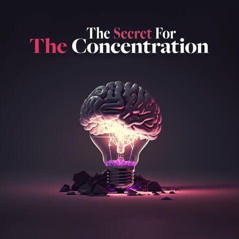 The Secret For The Concentration