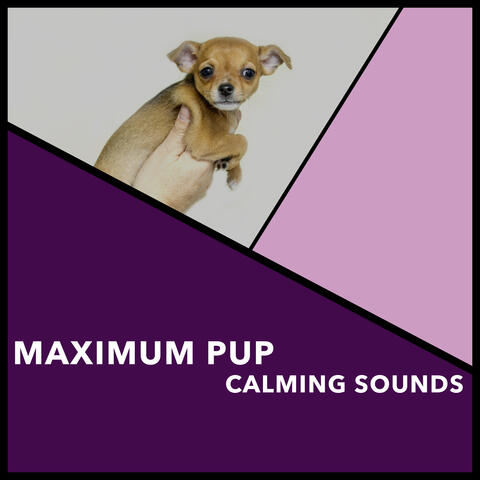 Maximum Pup Calming Sounds