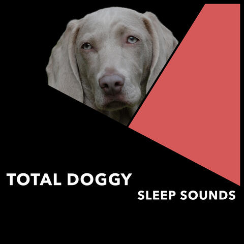 Total Doggy Sleep Sounds