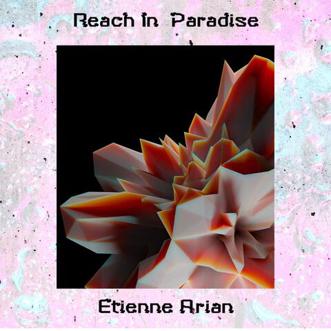 Reach in  Paradise