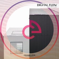Digital Flow