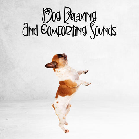 Dog Relaxing And Comforting Sounds