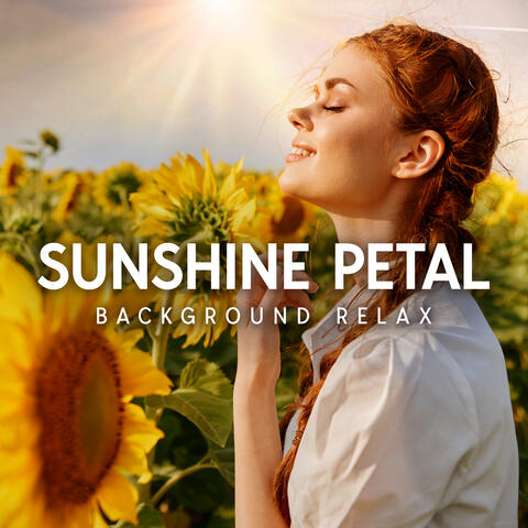 Sunshine Petal Background Relax