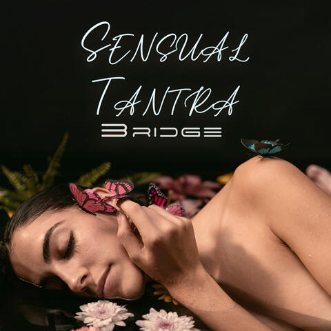 Sensual Tantra Bridge: Tantra Massage Music and Sexuality
