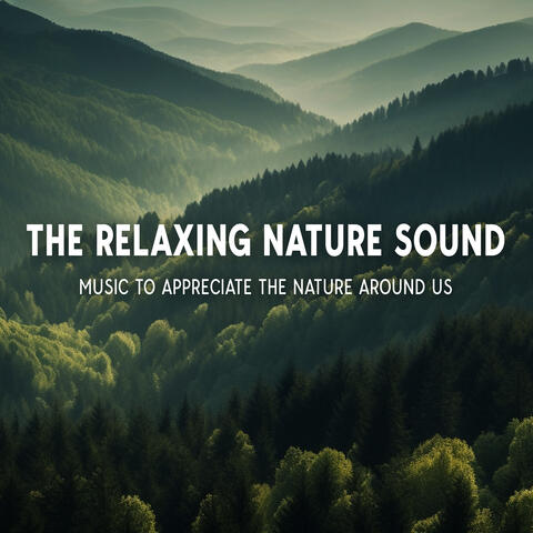 The Relaxing Nature Sound: Music To Appreciate The Nature Around Us
