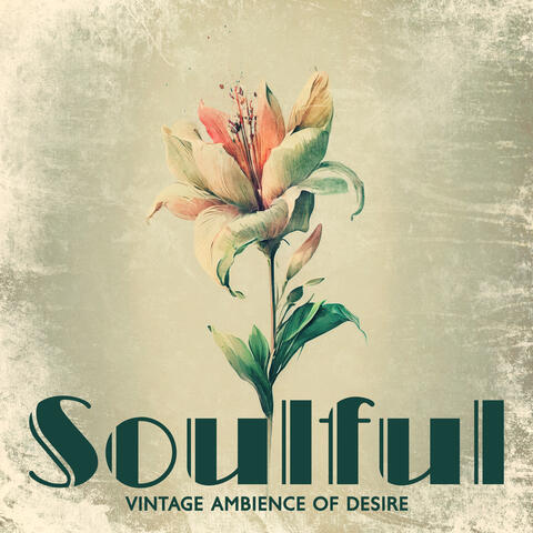 Soulful Vintage Ambience Of Desire