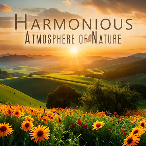 Harmonious Atmosphere of Nature