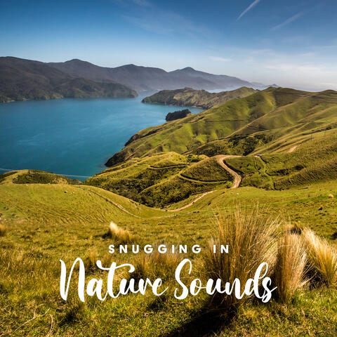 Snugging in Nature Sounds: Deep Relaxation, Peaceful Sleep, Soothing Spa Therapy