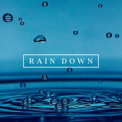 Light Rain in a Forest for Reflections