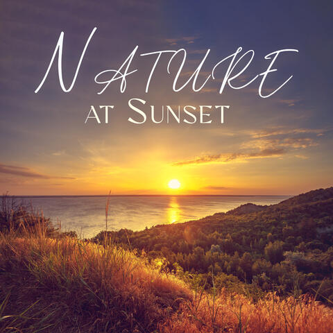 Nature at Sunset: Soothing Relaxing Melodies, Deeply Stress-Relieving Nature Sounds, Peaceful Instrumental Music For Unwinding