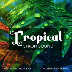 Tropical Rain