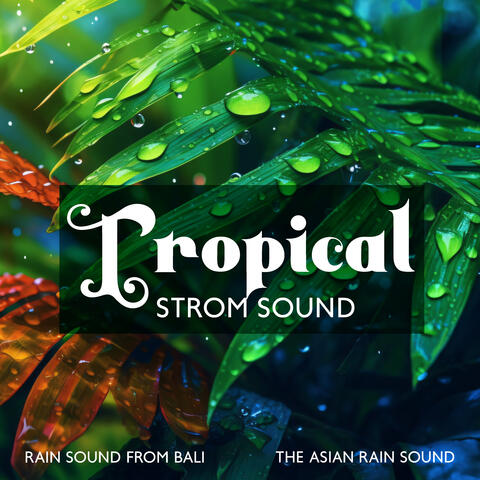 Tropical Strom Sound: Rain Sound From Bali, The Asian Rain Sound
