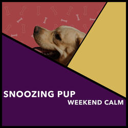 Serene Dog Vibrations