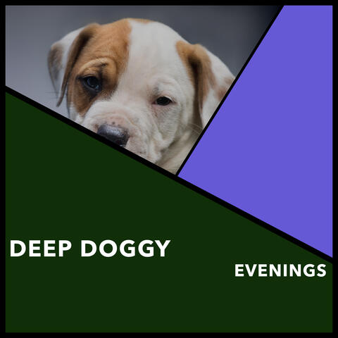 Deep Doggy Evenings