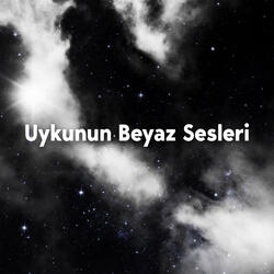 Uçuş Sırasında Sesler
