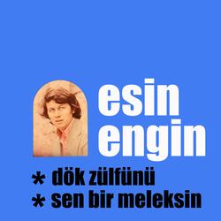 Sen Bir Meleksin
