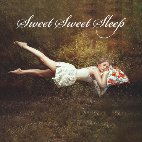 Sweet Sweet Sleep: Dreaming In Harmony, The Best Nights